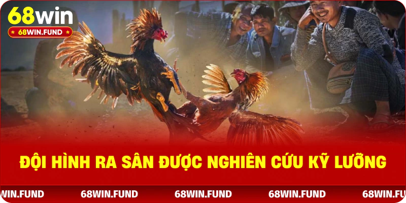 Đội hình ra sân được nghiên cứu kỹ lưỡng 