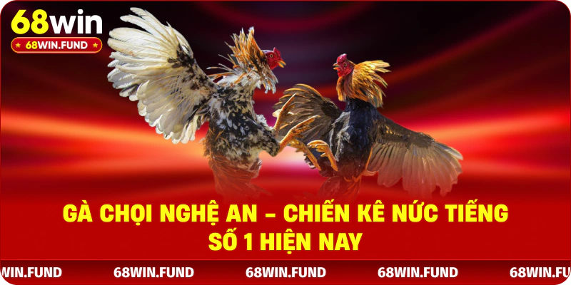 Gà Chọi Nghệ An - Chiến Kê Nức Tiếng Số 1 Hiện Nay